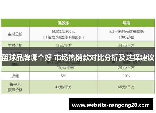 篮球品牌哪个好 市场热销款对比分析及选择建议