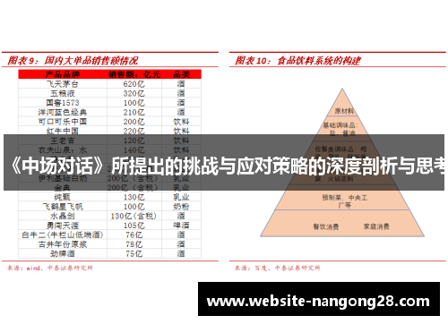 《中场对话》所提出的挑战与应对策略的深度剖析与思考