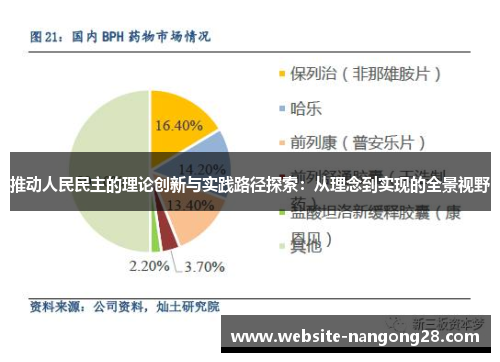 推动人民民主的理论创新与实践路径探索：从理念到实现的全景视野