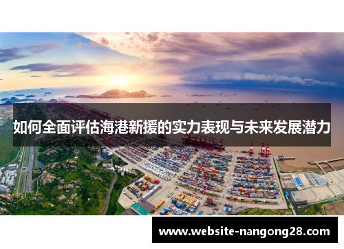 如何全面评估海港新援的实力表现与未来发展潜力
