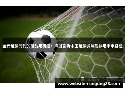 金元足球时代的挑战与机遇：深度剖析中国足球发展现状与未来路径