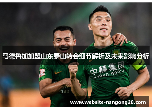 马德鲁加加盟山东泰山转会细节解析及未来影响分析