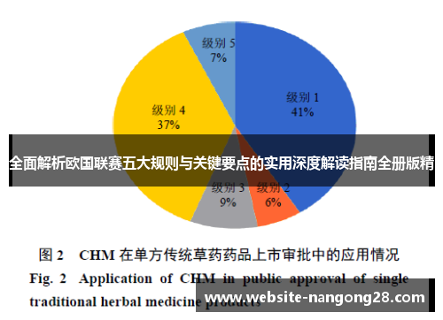 全面解析欧国联赛五大规则与关键要点的实用深度解读指南全册版精 全面解析欧国联赛五大规则与关键要点的实用深度解读指南全册版精