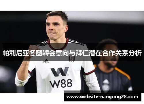 帕利尼亚冬窗转会意向与拜仁潜在合作关系分析