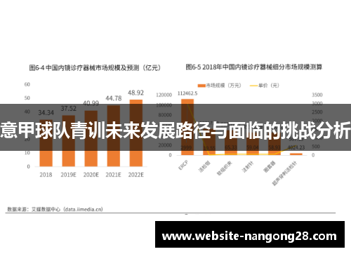 意甲球队青训未来发展路径与面临的挑战分析